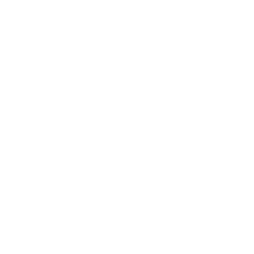 Adobe Solution Partner Bronze